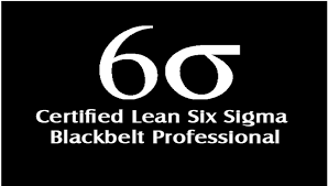 Lean Six Sigma logo representing certification in process improvement and quality management